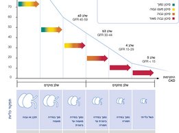 5 שלבי CKD ותסמינים קשורים